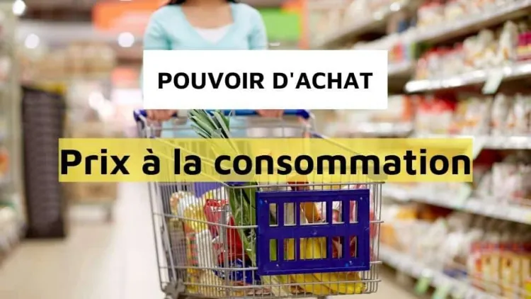 Indice mensuel des prix à la consommation (2023)